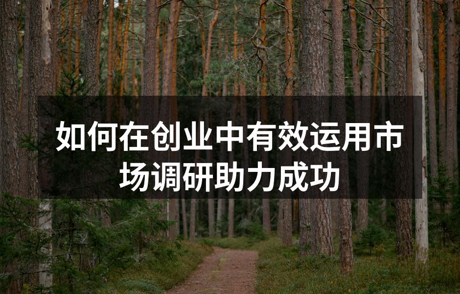 如何在创业中有效运用市场调研助力成功