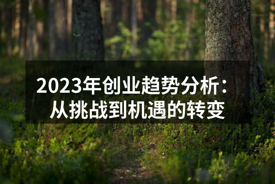 2023年创业趋势分析：从挑战到机遇的转